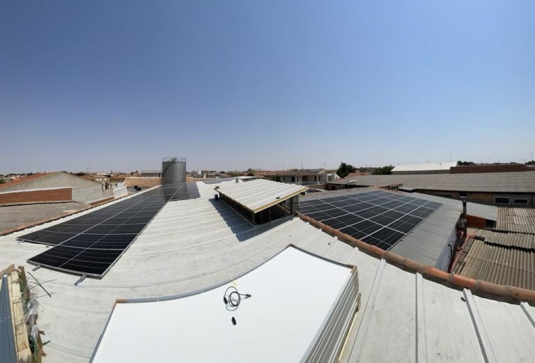 WhatsApp Image 2022 09 23 at 7.37.48 AM 768x521