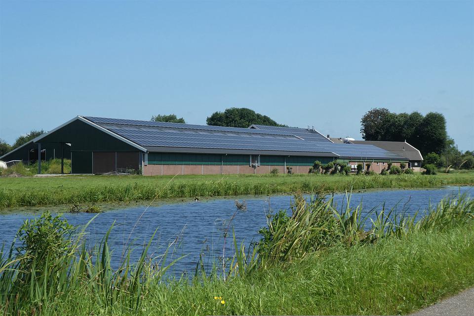 Agrovoltaica en granja